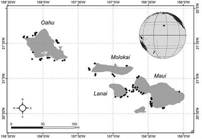 Mesophotic Depth Gradients Impact Reef Fish Assemblage Composition and Functional Group Partitioning in the Main Hawaiian Islands